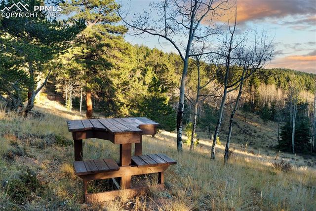 516 Saguache Drive, Florissant, CO 80816