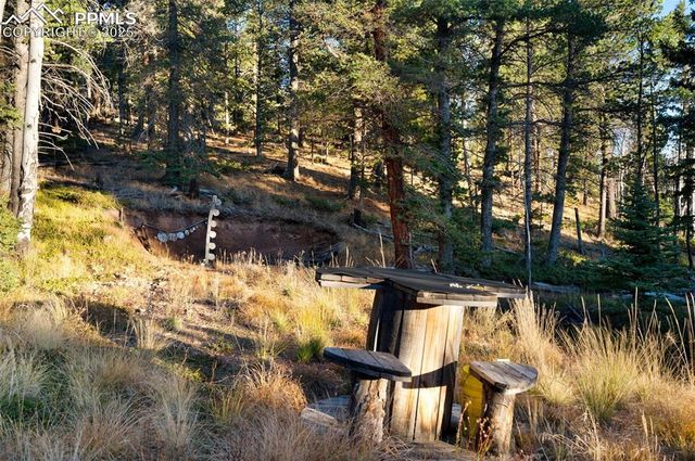 516 Saguache Drive, Florissant, CO 80816