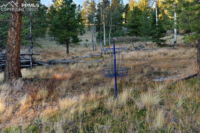 516 Saguache Drive, Florissant, CO 80816