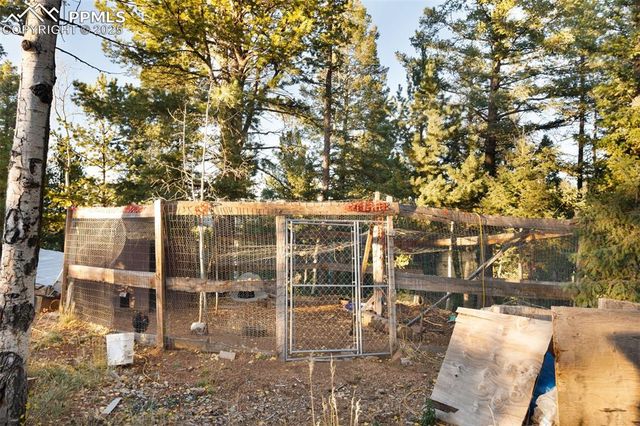 516 Saguache Drive, Florissant, CO 80816