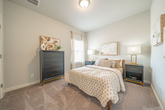 717 Willowbrook, New Braunfels, TX 78130