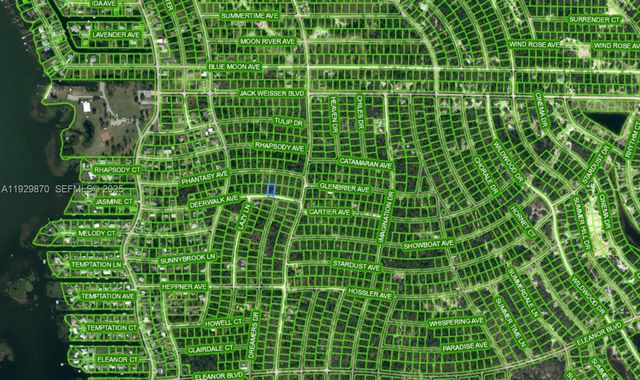 272 DEERWALK AVE, Lake Placid, FL 33852