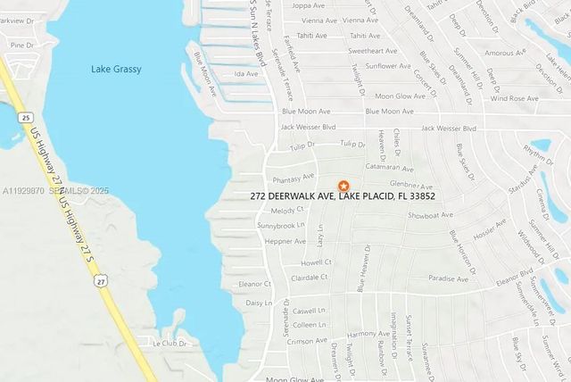 272 DEERWALK AVE, Lake Placid, FL 33852