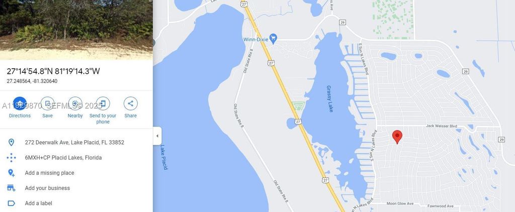 272 DEERWALK AVE, Lake Placid, FL 33852
