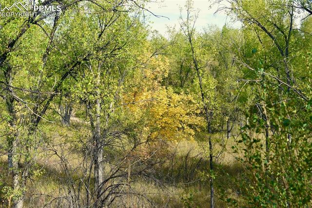 Crest Drive, Fountain, CO 80817