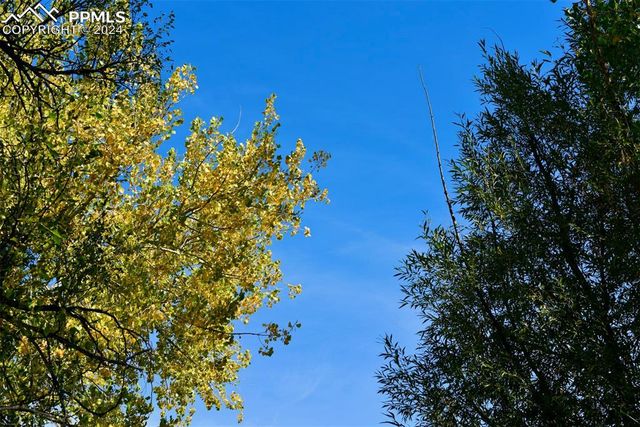 Crest Drive, Fountain, CO 80817