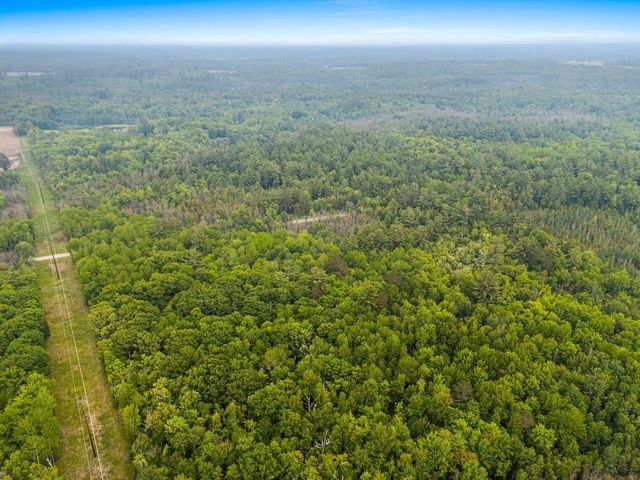 N10226 County Road 356, Daggett, MI 49821