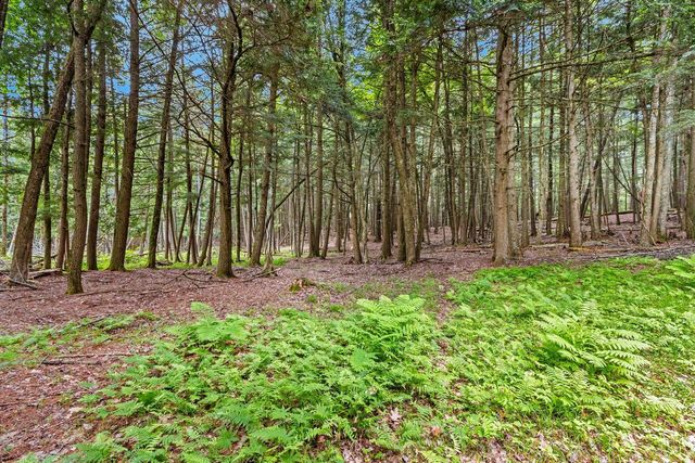 N10226 County Road 356, Daggett, MI 49821