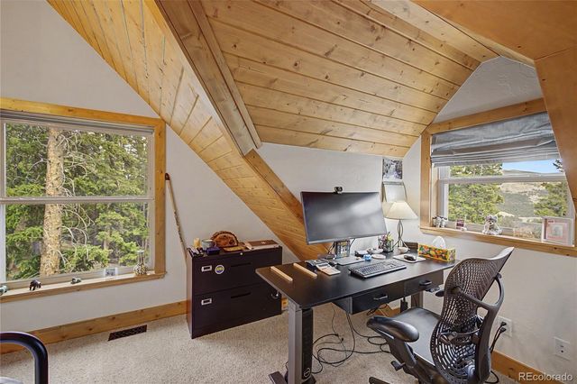 62 Lazy Rex Road, Fairplay, CO 80440