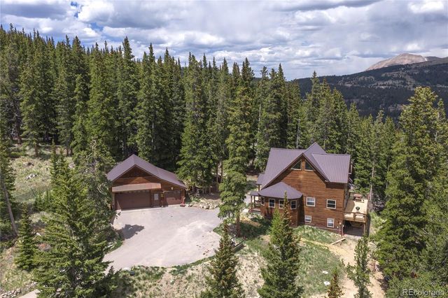 62 Lazy Rex Road, Fairplay, CO 80440