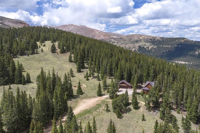 62 Lazy Rex Road, Fairplay, CO 80440