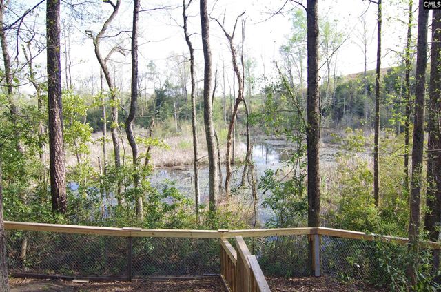 210 Hutto Hill, Gilbert, SC 29054