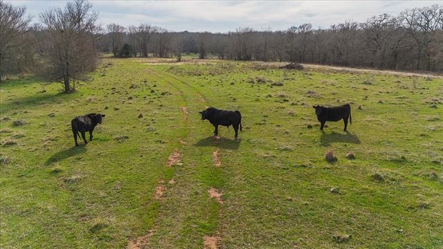 TBD Hcr 2424, Hillsboro, TX 76645