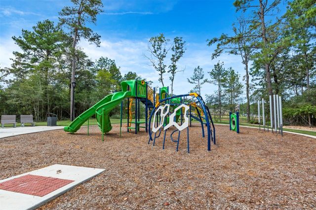 814 Shrub Court, Magnolia, TX 77354