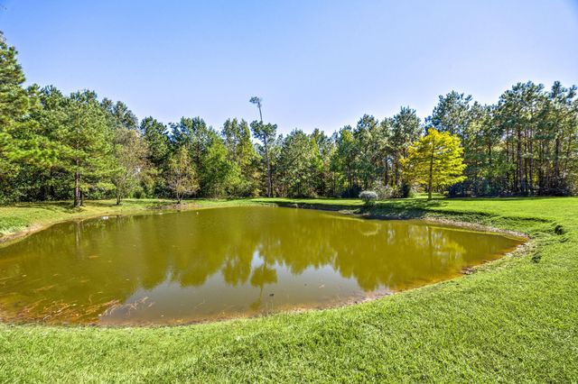 13506 Stagecoach Road, Magnolia, TX 77355