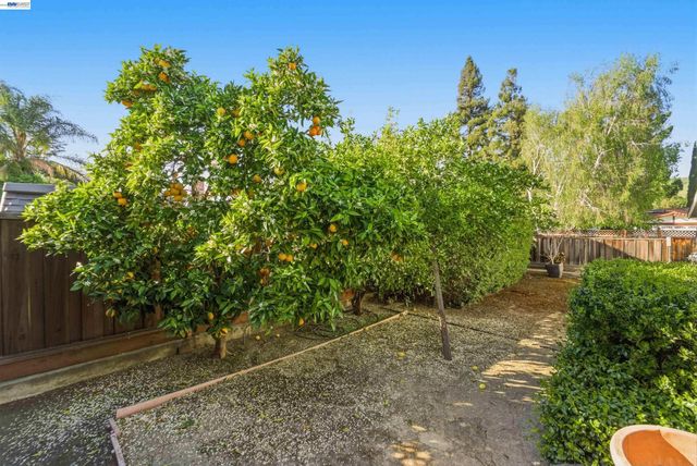 36017 Plumeria, Fremont, CA 94536