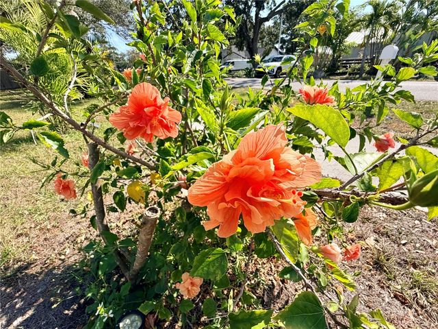 3295 ADRIAN AVENUE, Largo, FL 33774