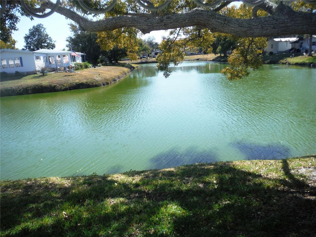 172 CLUBVIEW DRIVE 5, Safety Harbor, FL 34695