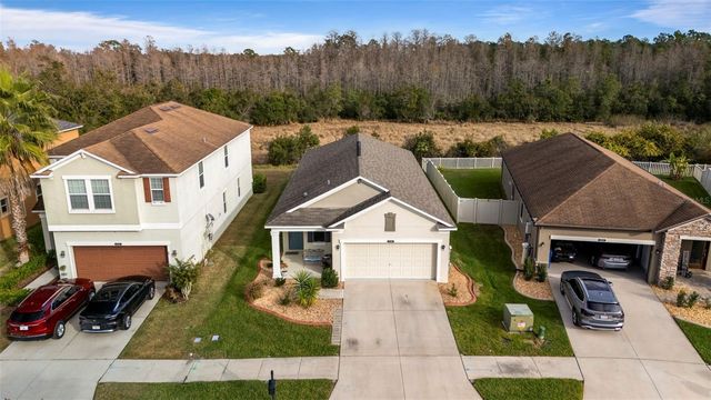 21362 WISTFUL YEARN DRIVE, Land O Lakes, FL 34637