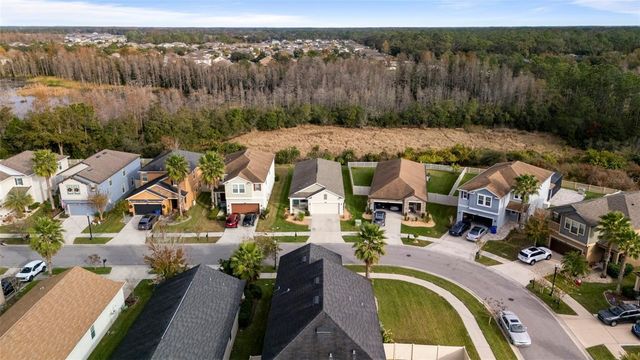 21362 WISTFUL YEARN DRIVE, Land O Lakes, FL 34637