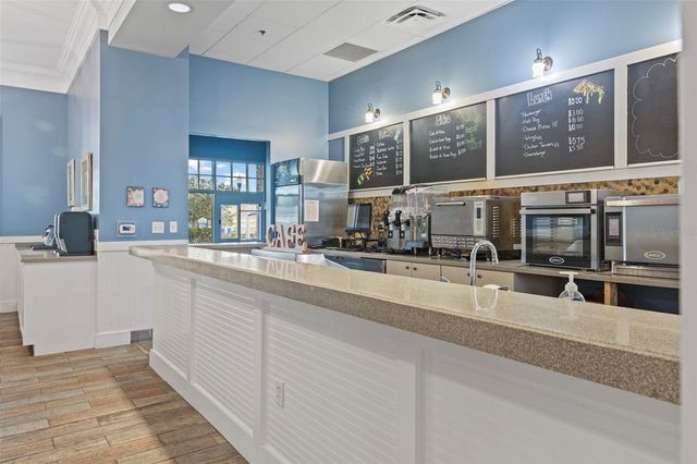 21362 WISTFUL YEARN DRIVE, Land O Lakes, FL 34637