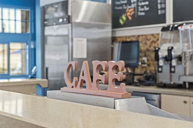 21362 WISTFUL YEARN DRIVE, Land O Lakes, FL 34637