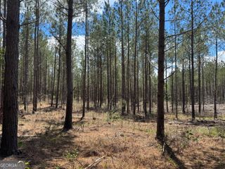 LOT 2 Lipham Road, Franklin, GA 30217