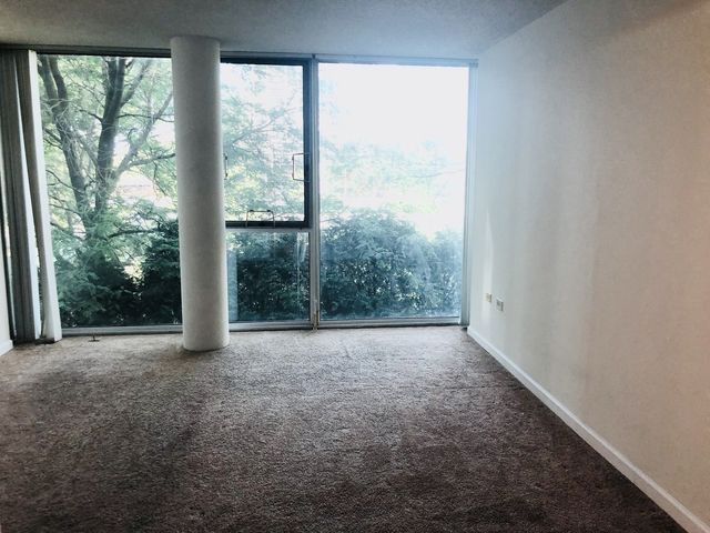 3120 S Indiana Avenue 206, Chicago, IL 60616