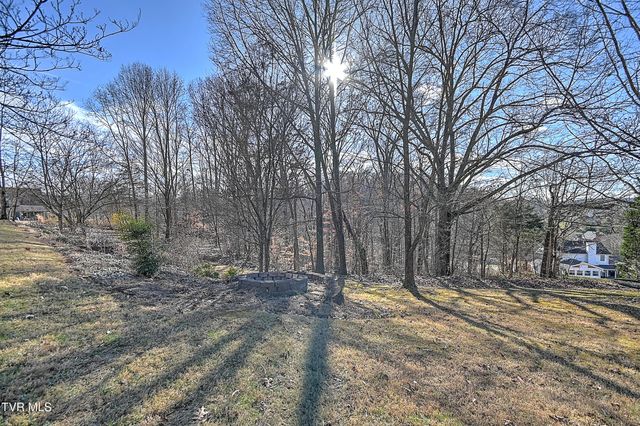616 Kings Ridge Drive, Blountville, TN 37617