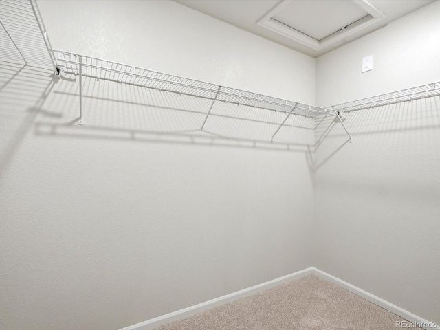 6902 Quail Avenue, Firestone, CO 80504