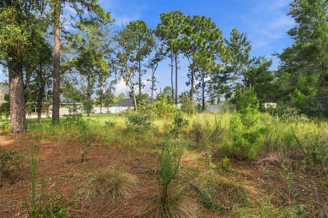 12784 SIGMUND STREET, Spring Hill, FL 34609