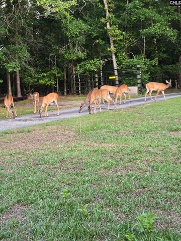 1640 Lawhorn Road, Cassatt, SC 29032