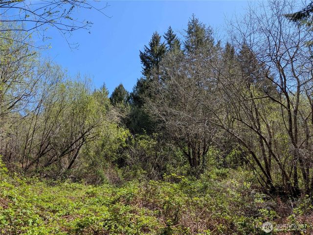 0 Cornwall Road NW, Lakebay, WA 98349