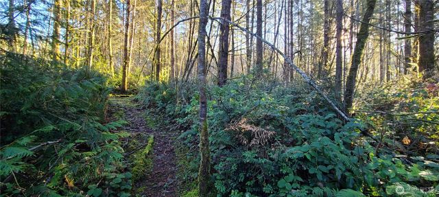 0 Cornwall Road NW, Lakebay, WA 98349