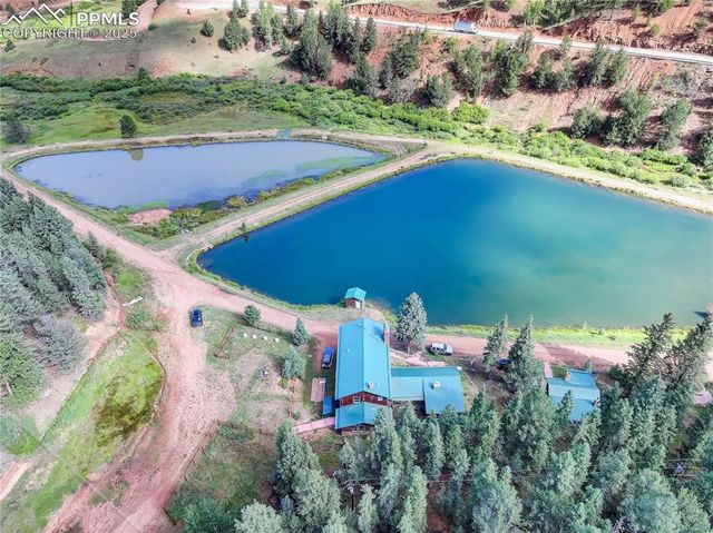 490 Willow Road, Divide, CO 80814