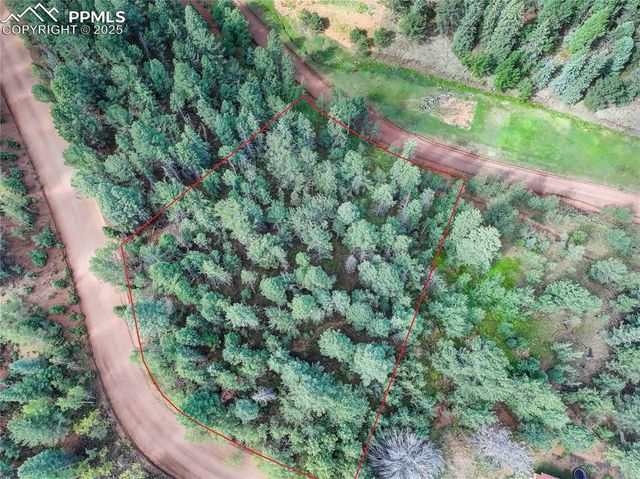 490 Willow Road, Divide, CO 80814
