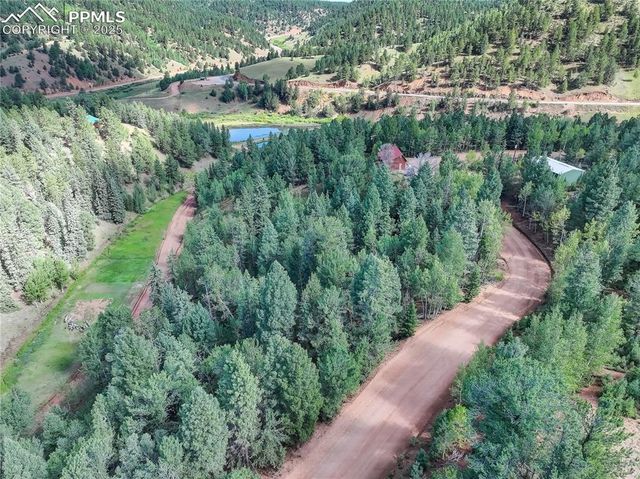 490 Willow Road, Divide, CO 80814