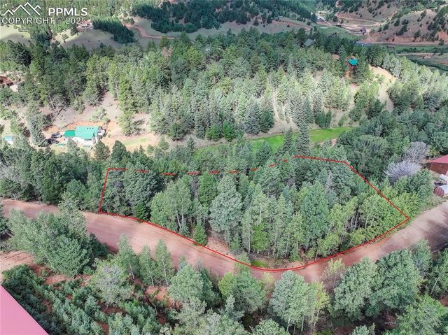 490 Willow Road, Divide, CO 80814