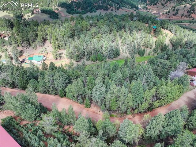 490 Willow Road, Divide, CO 80814