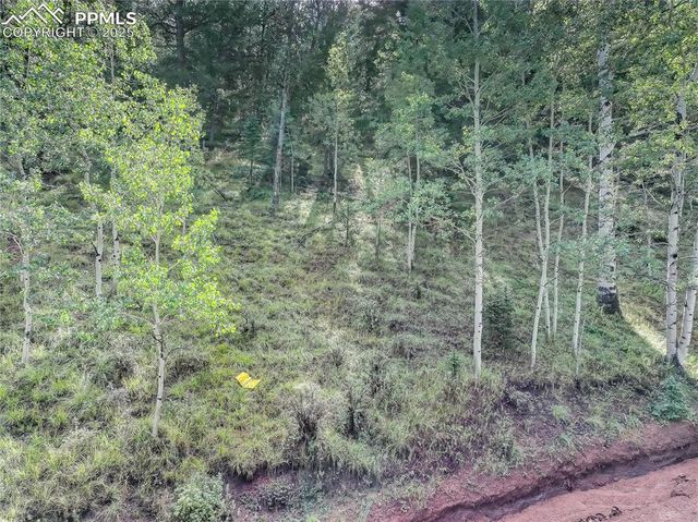 490 Willow Road, Divide, CO 80814