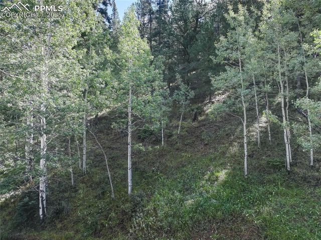 490 Willow Road, Divide, CO 80814