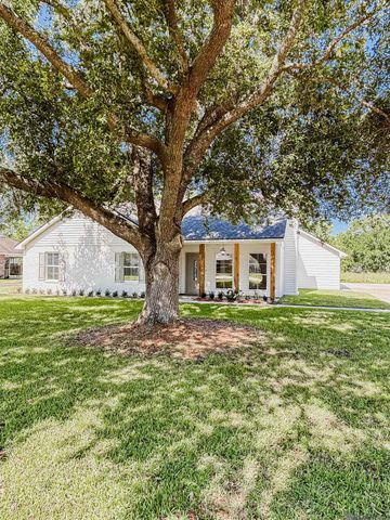 14189 Troy Duplessis Rd, Gonzales, LA 70737