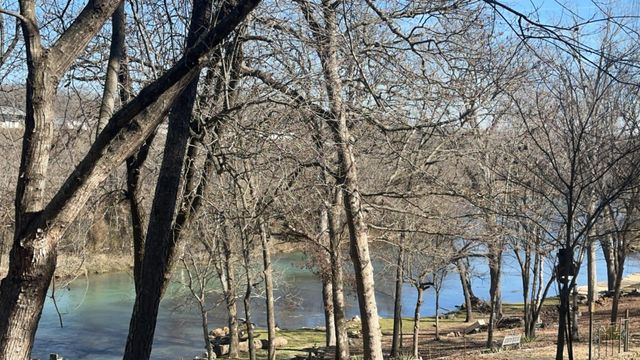 168 Riverview Drive, Mammoth Spring, MO 72554