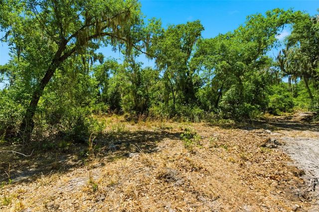 19084 RED BIRD LANE LOT 4, Lithia, FL 33547