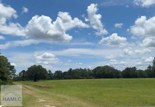 35+ Acre Wells Road, Hinesville, GA 31313