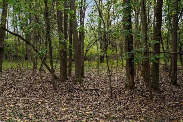 Lot 32&37 N Ann Street, Fowlerville, MI 48836