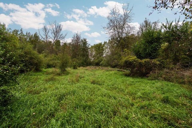 Lot 32&37 N Ann Street, Fowlerville, MI 48836