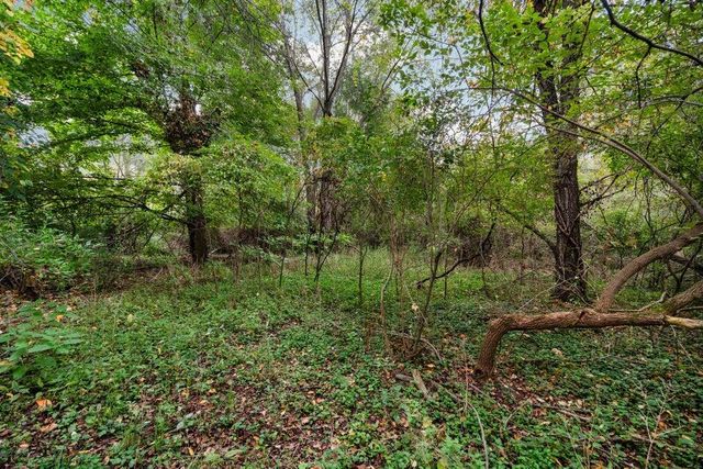 Lot 32&37 N Ann Street, Fowlerville, MI 48836