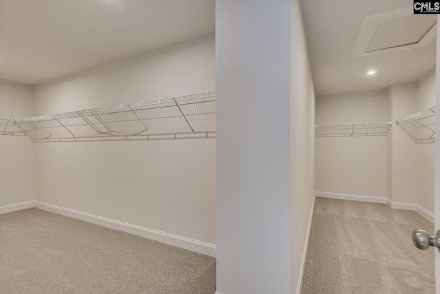 3003 Snail Seed Trail, Lexington, SC 29073