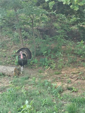 19271 Vineyard Road, Canehill, AR 72717